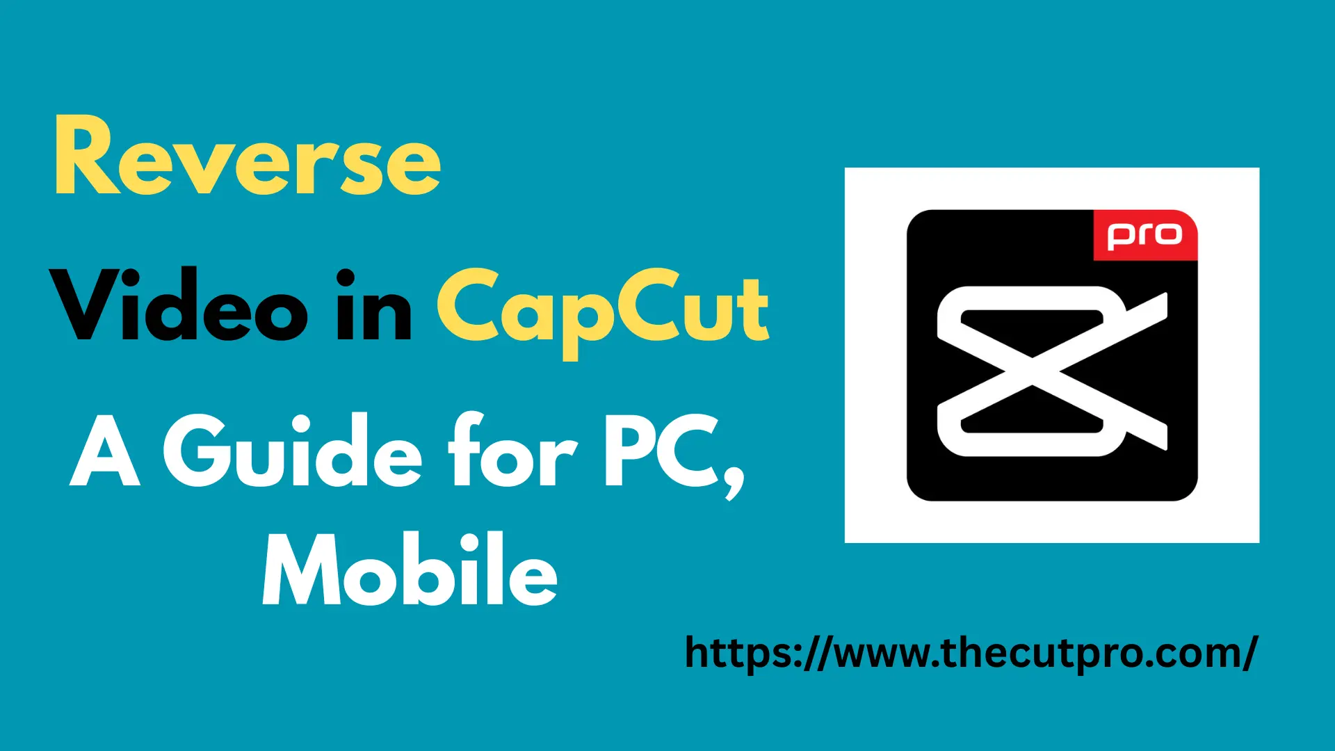 reverse video in capcut